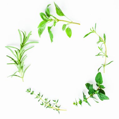 Beyaz üzerine taze baharatlar, üst görünüm.