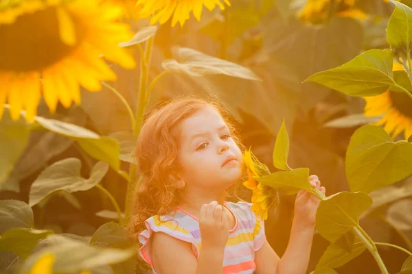 Glücklich Kind Mädchen zu Fuß in das Feld der Sonnenblumen. — Stockfoto