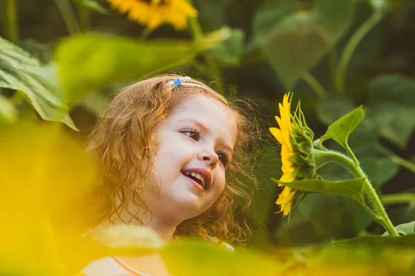 Glückliches Kindermädchen beim Spaziergang im Sonnenblumenfeld — Stockfoto