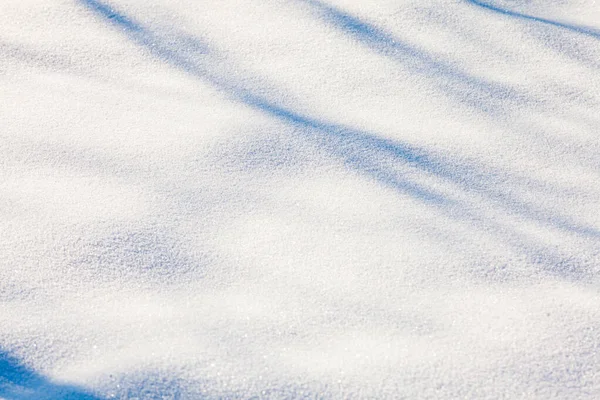 Snow background with branch shadows on the frost — Stock Photo, Image