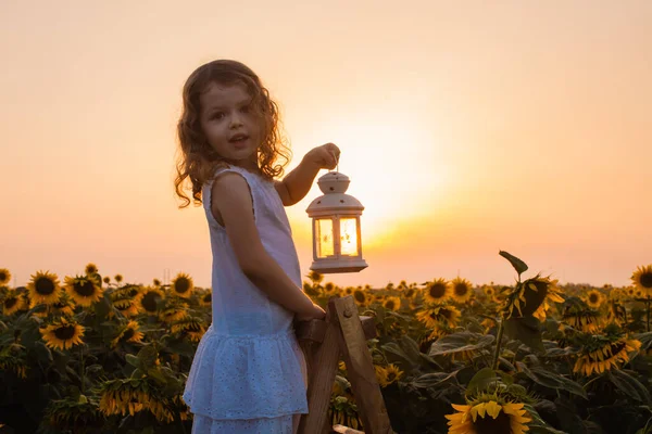 Kleines Mädchen mit Laterne am Sommerabend — Stockfoto