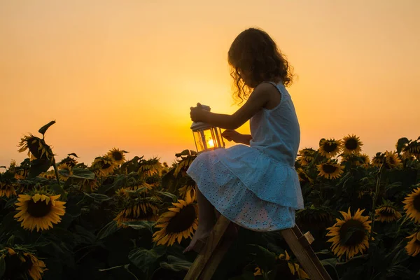 Girl sitting on ladder in sunflowers field — Stock Photo, Image