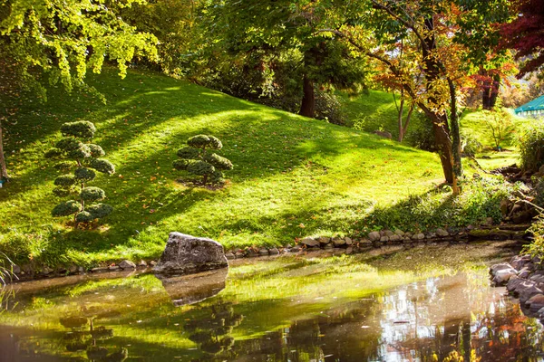 静谧的秋天花园，风景秀丽 — 图库照片
