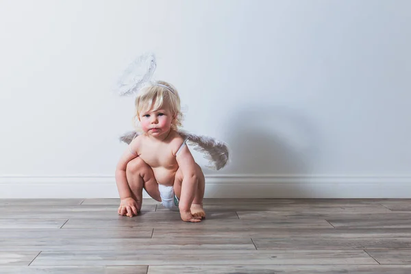 Toddler boy in angel wings and halo — Stock Photo, Image