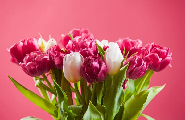 Die wunderbare florale Überraschung zum Frauentag — Stockfoto