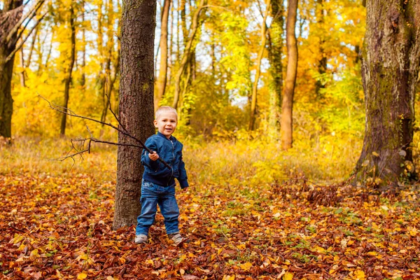Маленький мальчик, гуляющий в осеннем парке — стоковое фото