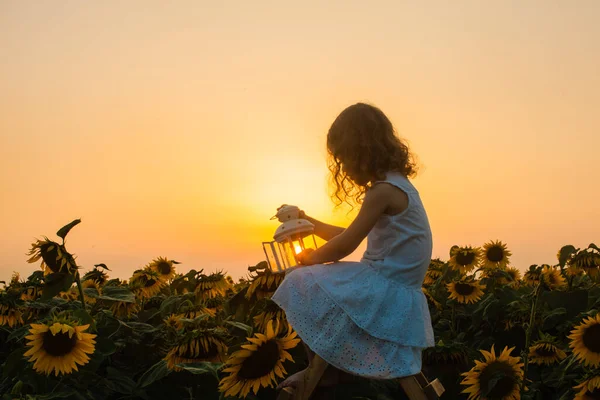 Silhouette of girl with lantern in the rays of the setting sun — Stock Photo, Image