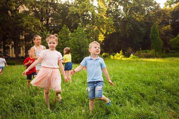 A gyerekeket érdekli a természet az iskolakertben. — Stock Fotó