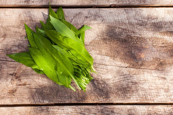 Ovanifrån bär purjolök eller vilda vitlöksblad på träytan — Stockfoto