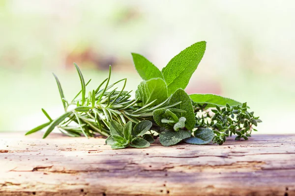 Ein Bündel frischer würziger Kräuter, draußen auf einer Holzoberfläche — Stockfoto