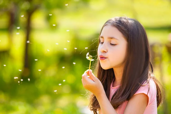 8 years old girl blow on the dandelion, summer time — Stock Photo, Image