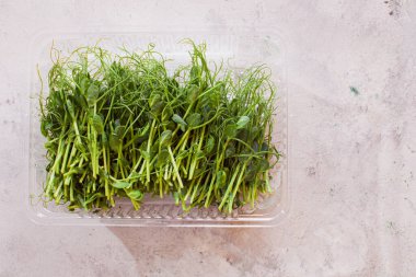 Plastik tepside bezelye ya da nohut mikroçipleri filizlenir.