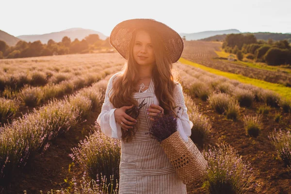 Das schöne Mädchen ruht moralisch beim Lavendelpflücken auf einer Plantage — Stockfoto