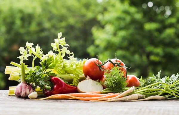 Verduras frescas en la mesa en el jardín en el día de verano — Foto de Stock