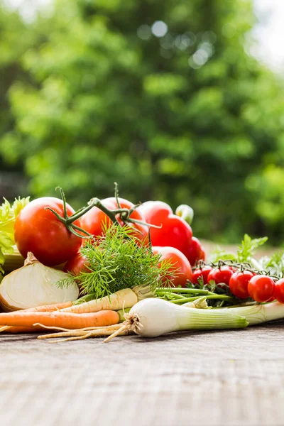 Martwa natura organicznych warzyw rolnych na świeżym powietrzu w lecie — Zdjęcie stockowe