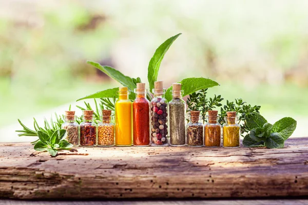Assorted ground spices in bottles on wooden surface — Stock Photo, Image