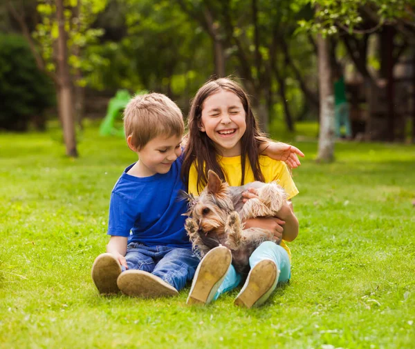 Children play with a little dog in the backyard — Stock Photo, Image