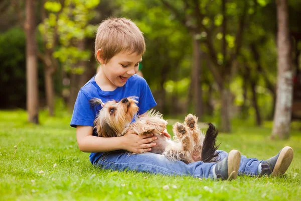 Trevlig vila med en söt liten hund på gården — Stockfoto