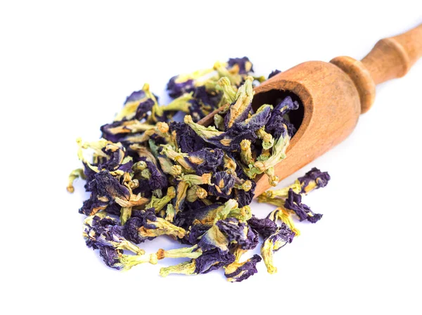 The bunch of dried blue tea flowers — Stock Photo, Image