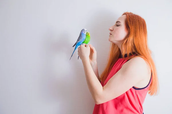 A bela mulher admira seus belos papagaios — Fotografia de Stock