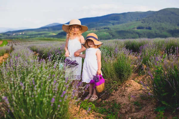 Zwei süße Schwestern reisen durch die schöne Natur — Stockfoto