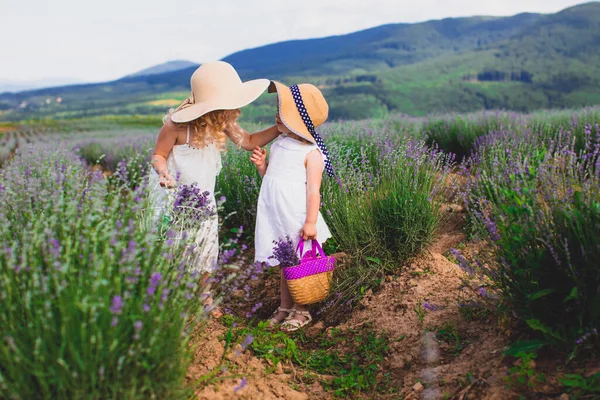 Zwei kleine Mädchen auf einem Lavendelfeld inmitten der malerischen Landschaft — Stockfoto