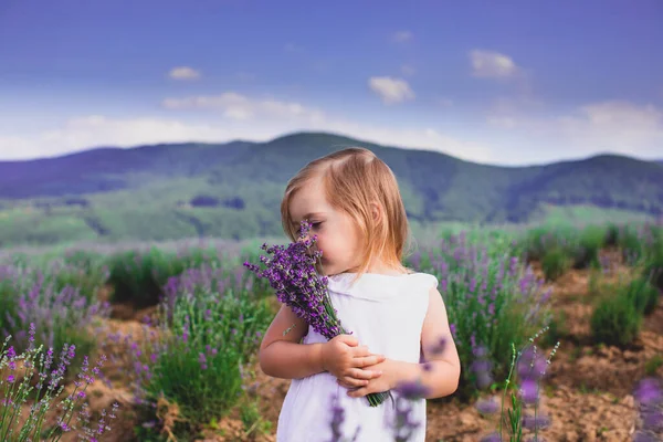 The wonderful aroma of lavender fills the soul with a wonderful feeling — Stock Photo, Image