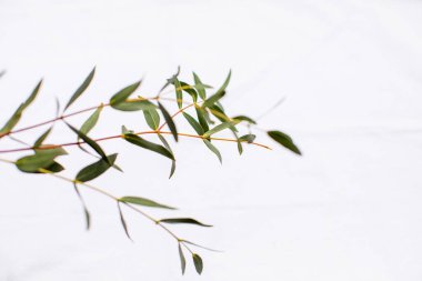 Yalnız hayal kurarken özgür ve ağırlıksız hissetmek