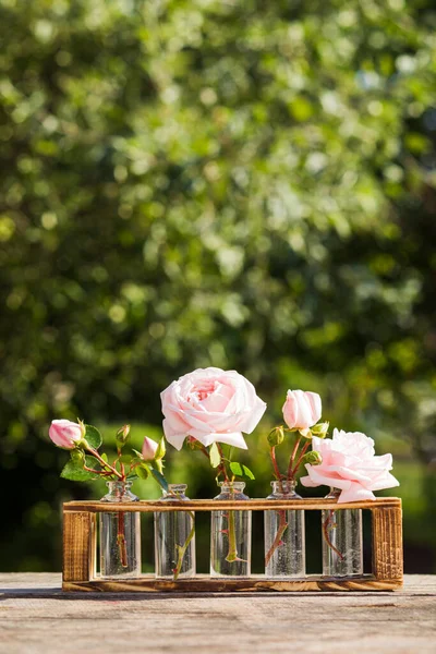 Extraction of aromatic essential oil from roses — Stock Photo, Image