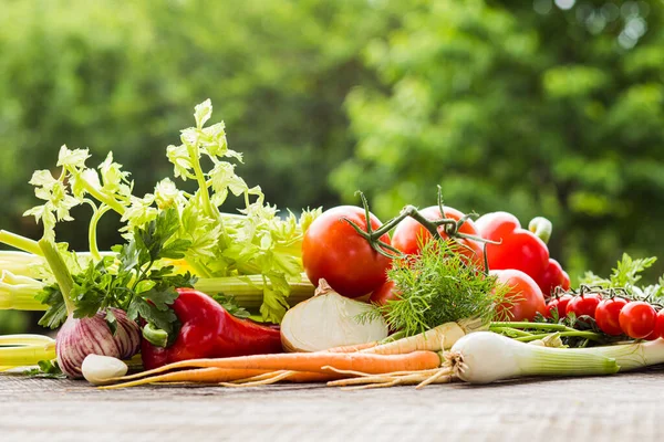 Verduras frescas de cosecha propia en la mesa al aire libre en el día de verano —  Fotos de Stock