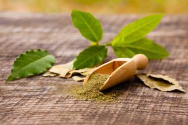 Yemek ve tıpta kullanılacak defne yaprağı