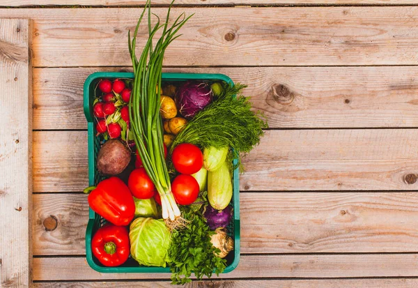 Conjunto ecológico de verduras crudas apiladas en una cesta — Foto de Stock