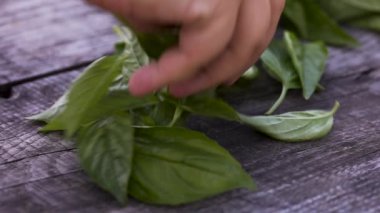 Daha fazla aroma ve tat almak için fesleğen yapraklarını karıştırıyorum.