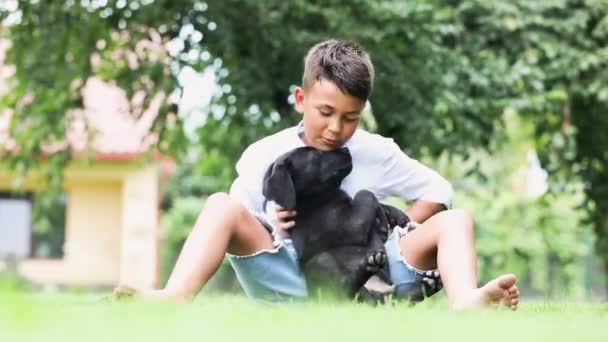 Relations chaleureuses entre l'enfant et son chien — Video