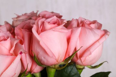 Beyaz arka plan üzerinde izole pembe gül buketi