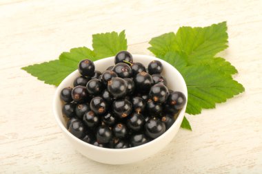 Olgun siyah kuş üzümü ile yaprak kase