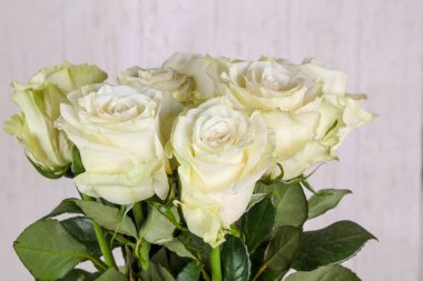 Beyaz arka plan üzerinde izole pembe gül buketi 