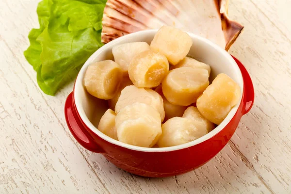 Raw Scallops Heap Bowl Ready Cooking — Stock Photo, Image