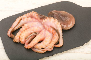 ham ahtapot yemek için hazır