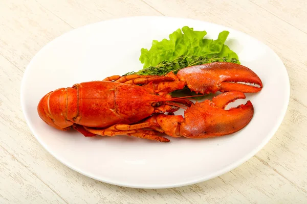 Delicous Cuisine Boiled Lobster Ready Eat Royalty Free Stock Images