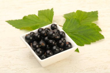 Olgun siyah kuş üzümü ile yaprak kase