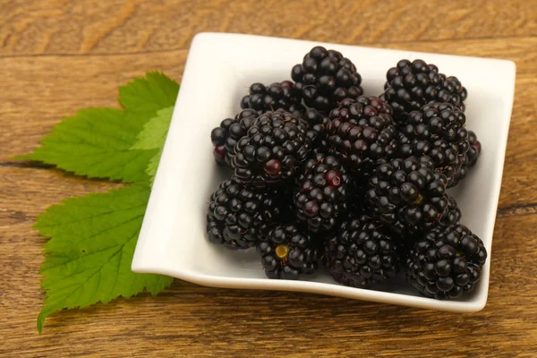 Moras Con Hoja Plato Blanco —  Fotos de Stock