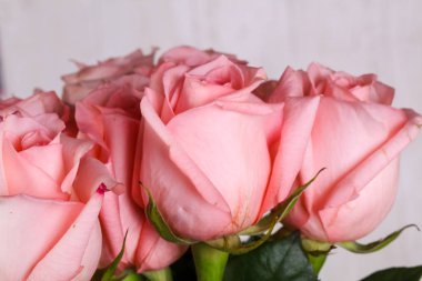 Beyaz arka plan üzerinde izole pembe gül buketi