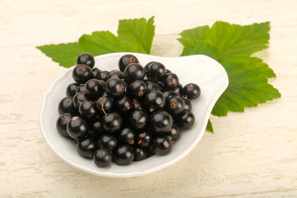 Olgun siyah kuş üzümü ile yaprak kase