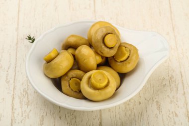 Marine petrol kase - yemek için hazır