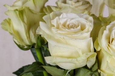 İzole beyaz gül buketi
