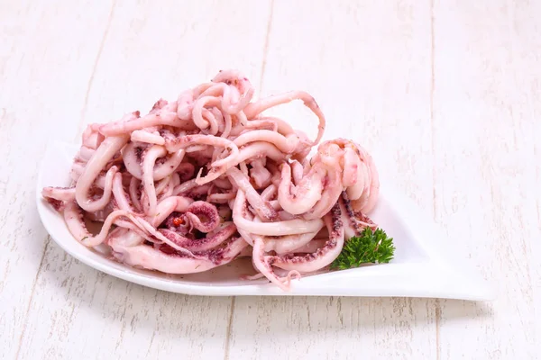 Kalamar Marine tentackle kabın içinde