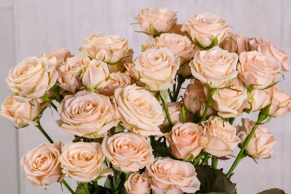 Rose Rosa Bouquet Isolato Sfondo Bianco — Foto Stock