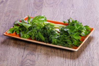 Taze yeşil otlar snack - maydanoz, dereotu, fesleğen ve kereviz