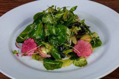 Japon Daikon salata yaprakları ile